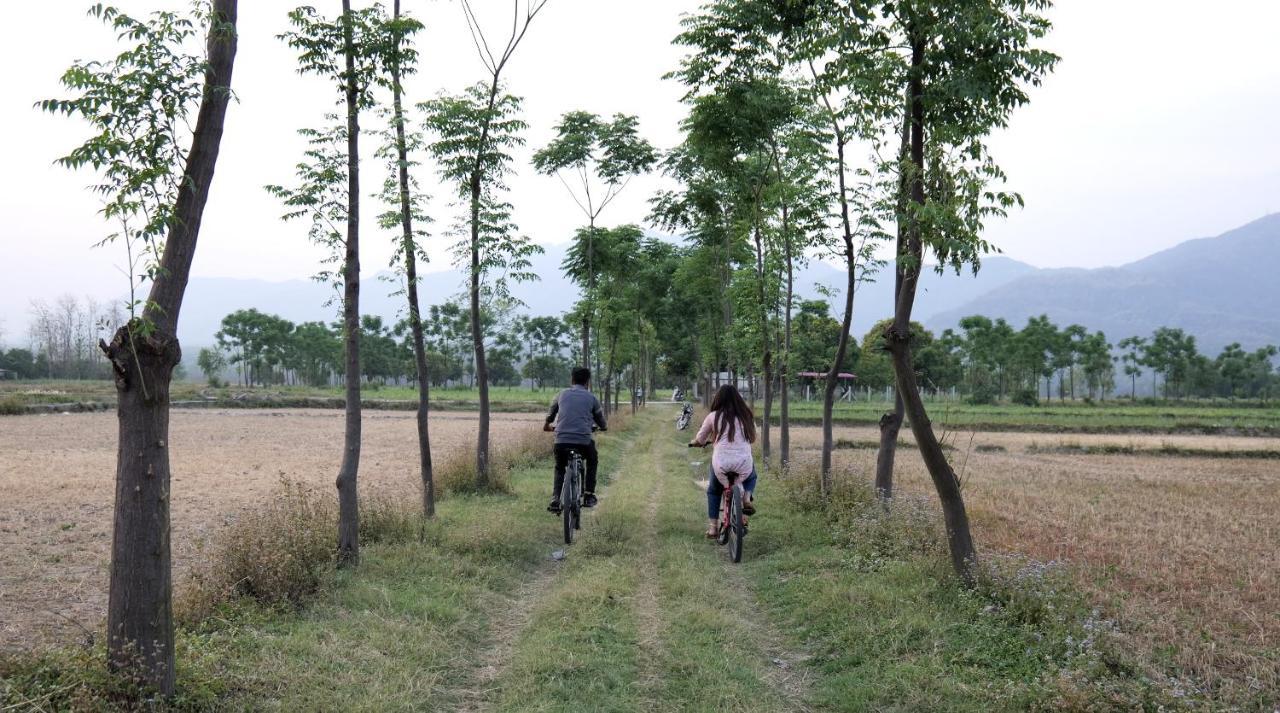 Sukoon - A Wellness Resort, Uttarakhand Chuharpur Экстерьер фото